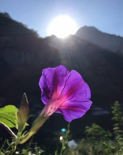 商道传奇--林海峰