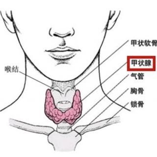 甲减的病因有哪些？