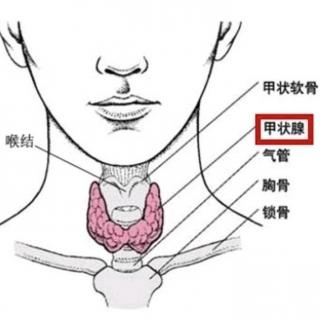 现代中医对甲状腺疾病的认识是什么？