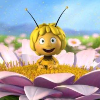 蜜蜂玛雅历险记