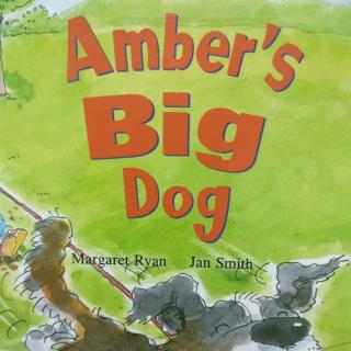 Amber's big dog