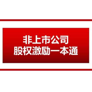 2_07股权激励解决方案之定性质