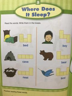 A- Where Does It Sleep?