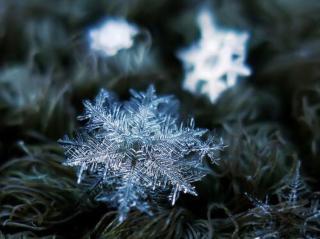 《第一片雪花❄》