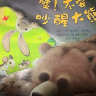儿童绘本《嘘！不要吵醒大熊》