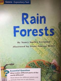 G2 Literature U4W1 - Rain Forests