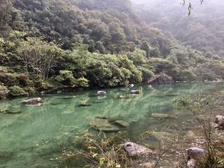 《走进陆水湖畔文学的岁月》 文/碧云天