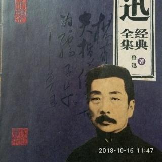 鲁迅文集(十七)