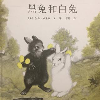 绘本：小白兔和小黑兔