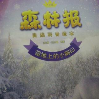 淼淼讲故事413雪地上的小脚印