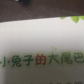 小兔子的大尾巴