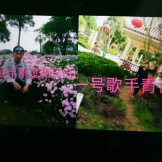 沙坪茶树宝山歌友谊赛雨过花开VS青青