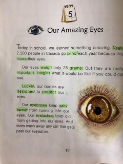 《Our Amazing Eyes》