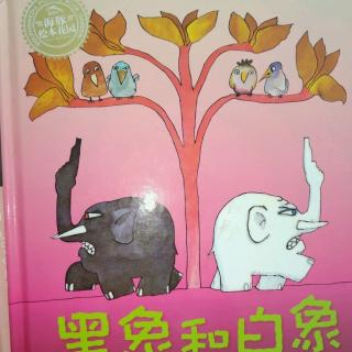 陈毅轩讲绘本故事《黑象和白象》