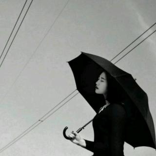 黑伞
