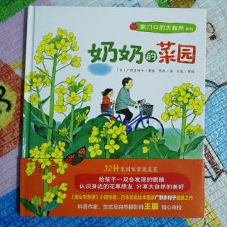 《奶奶的菜园》