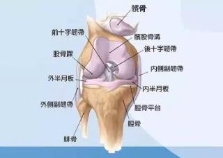 在瑜伽中，膝关节正位的重要性