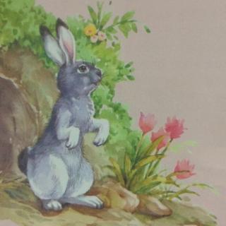 【小战马2】在线收听_momo1015的播客_荔枝