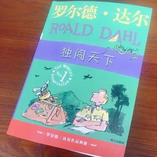 《独闯天下》40页