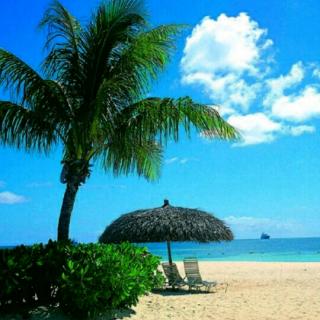 大灰狼的隐形帽