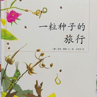 一粒种子的旅行