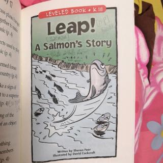 Leap! A Salmon's Story