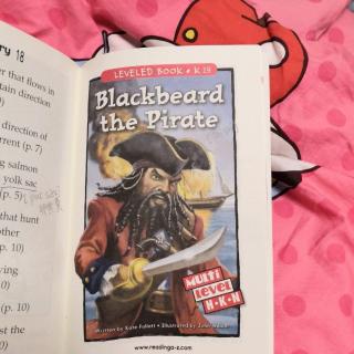 Blackbaerd the Pirate