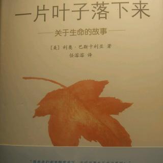 《一片叶子落下来》