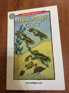 How Frogs Grow