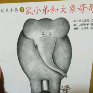 鼠小弟和大象哥哥