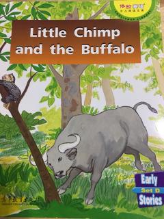 体验四级setD-Little Chimp and the Buffalo