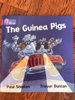 教学音频The Guinea Pigs