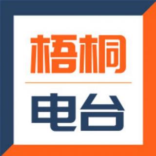 梧桐电台第16期-救楼市，救不了中国经济