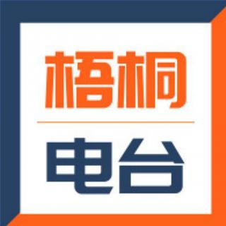 梧桐电台第36期-细数2016年洗劫中国人财富的七宗罪