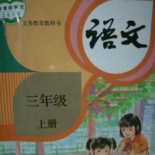 课文13《胡萝卜先生的长胡子》