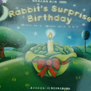 Rabbit's Surprise Birthday 复习