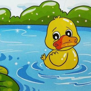 小鸭找朋友