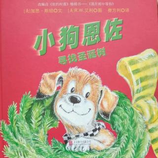 陈毅轩讲绘本故事《小狗恩佐寻找圣诞树》