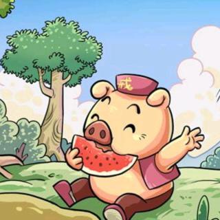 《猪🐷八戒吃西瓜🍉》