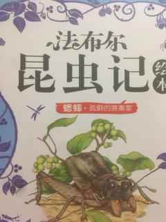 法布尔昆虫记～蟋蟀🦗&蝉