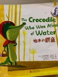 怕水的鳄鱼🐊