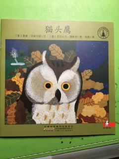 猫头鹰🦉