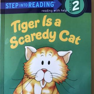 Tiger is a scaredy cat