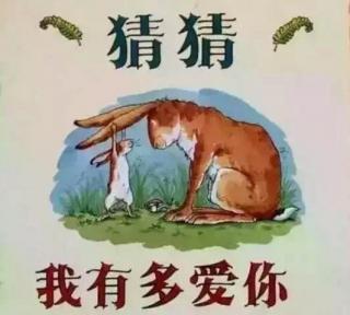 猜猜我有多爱你