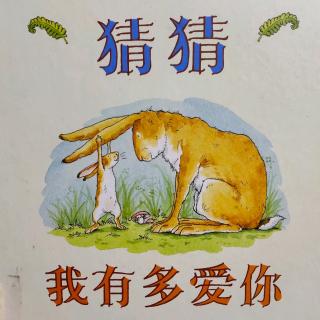 猜猜我有多爱你