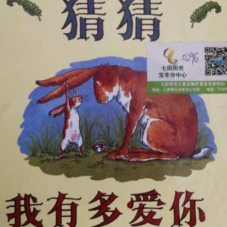 《猜猜我有多爱你》