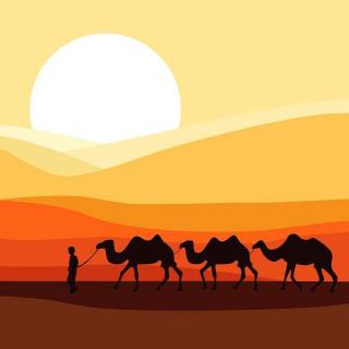 古筝曲《沙漠骆驼》