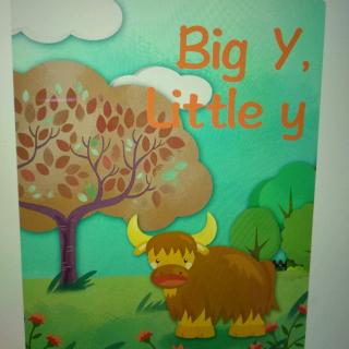 125.big y,little y