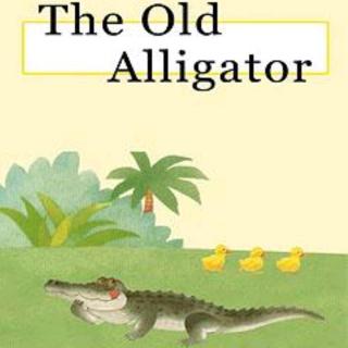 The Old Alliagtor