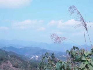 王娅莉老师《山魂》朗读者：吴周繁